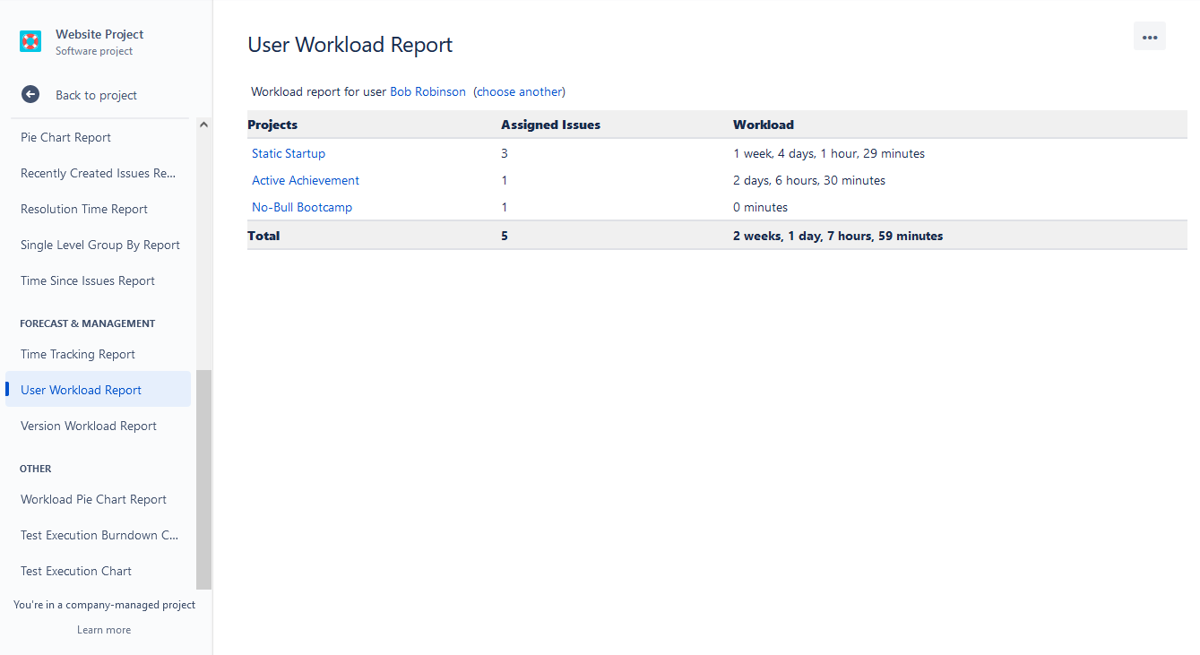 Jira User Workload Report